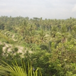 bali_view